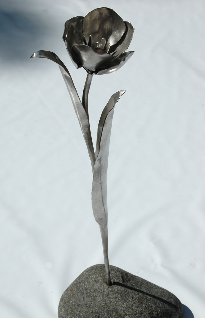 Tulpen (20)